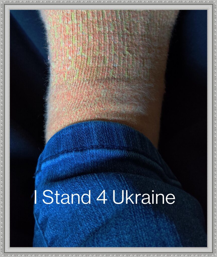 IMG_20220305_114033__01__01