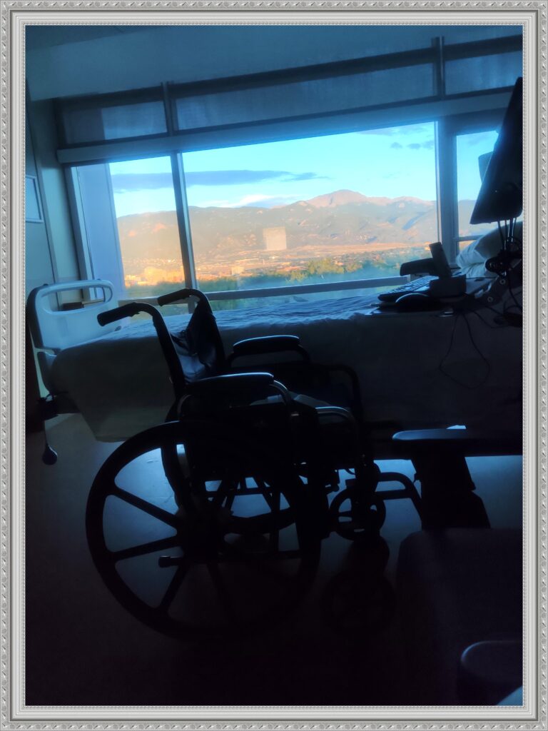 IMG_20240812_062039__01